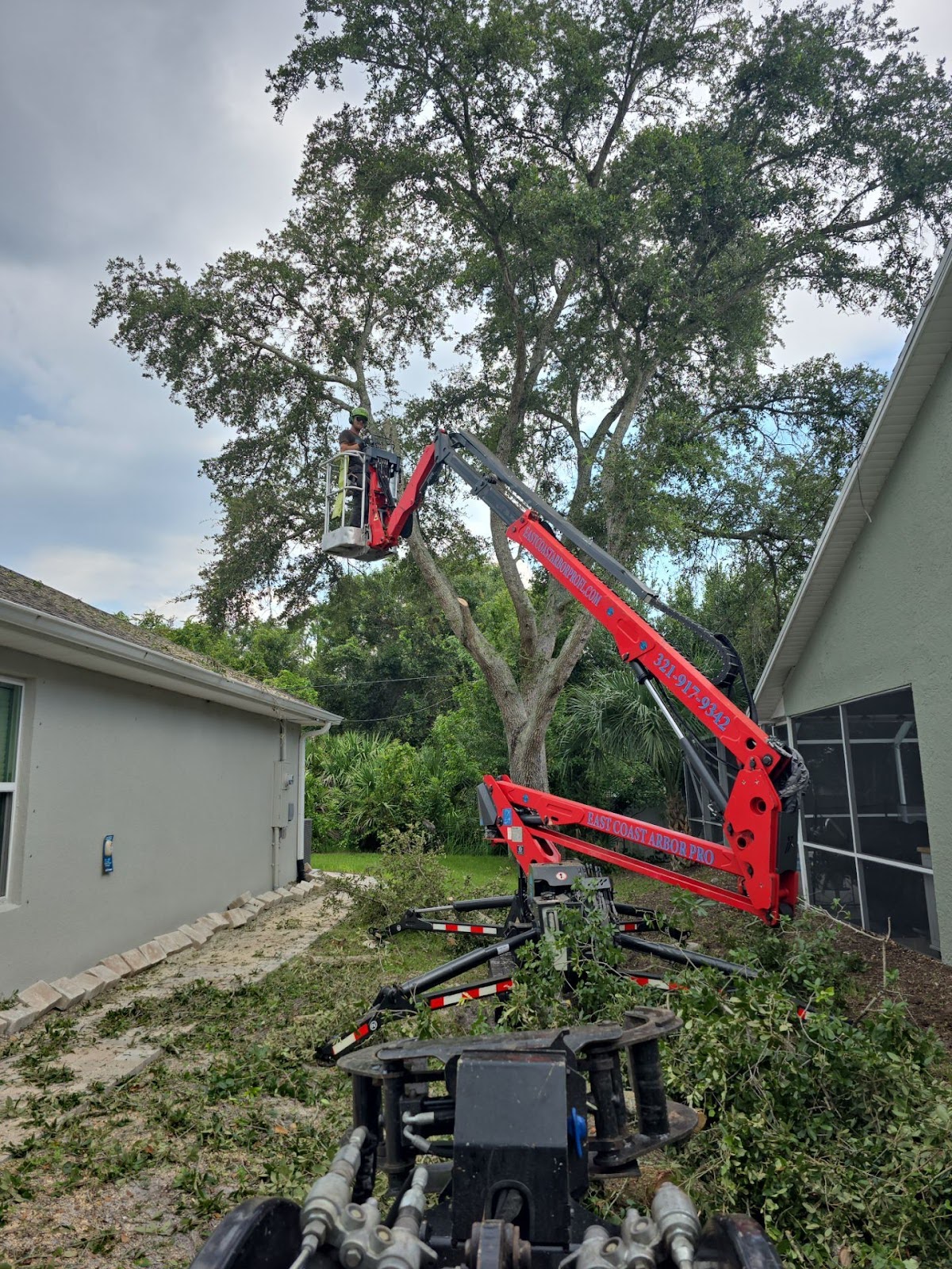 Tree Removal in Sebastian, FL