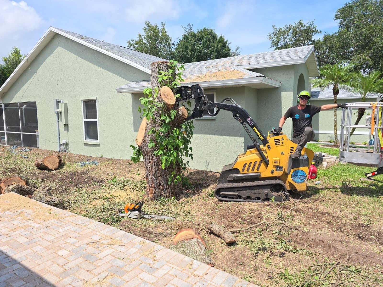 Tree Removal in Sebastian, FL