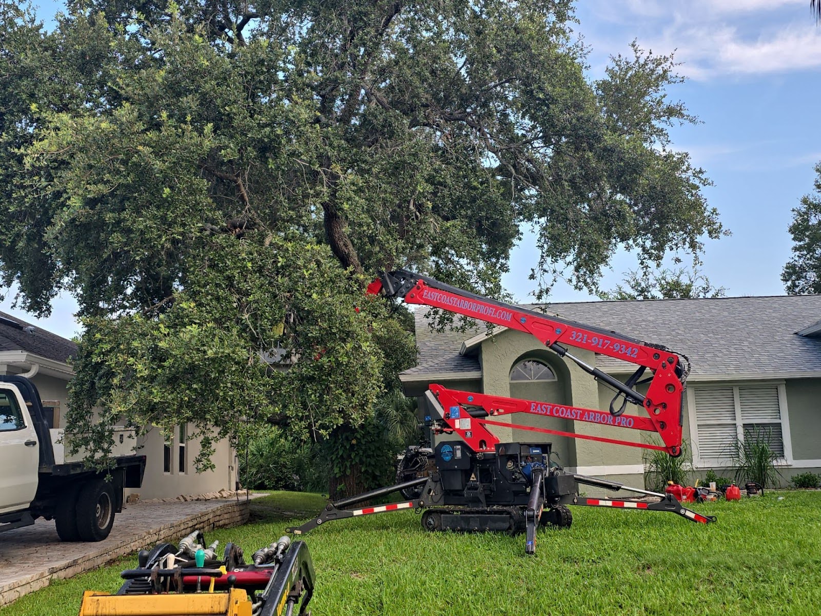 Tree Removal in Sebastian, FL