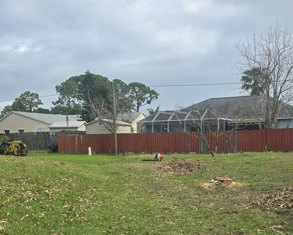 Tree Removal in Titusville