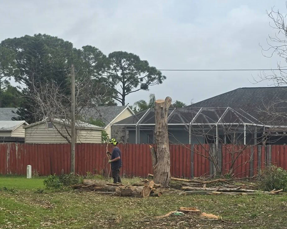 Tree Removal in Titusville