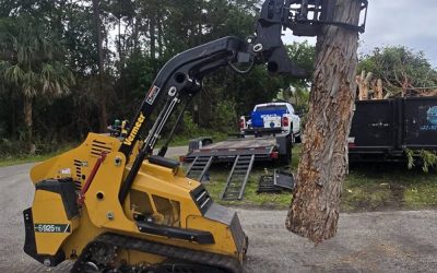 East Coast Arbor Pro’s Expert Tree Removal in Titusville, FL