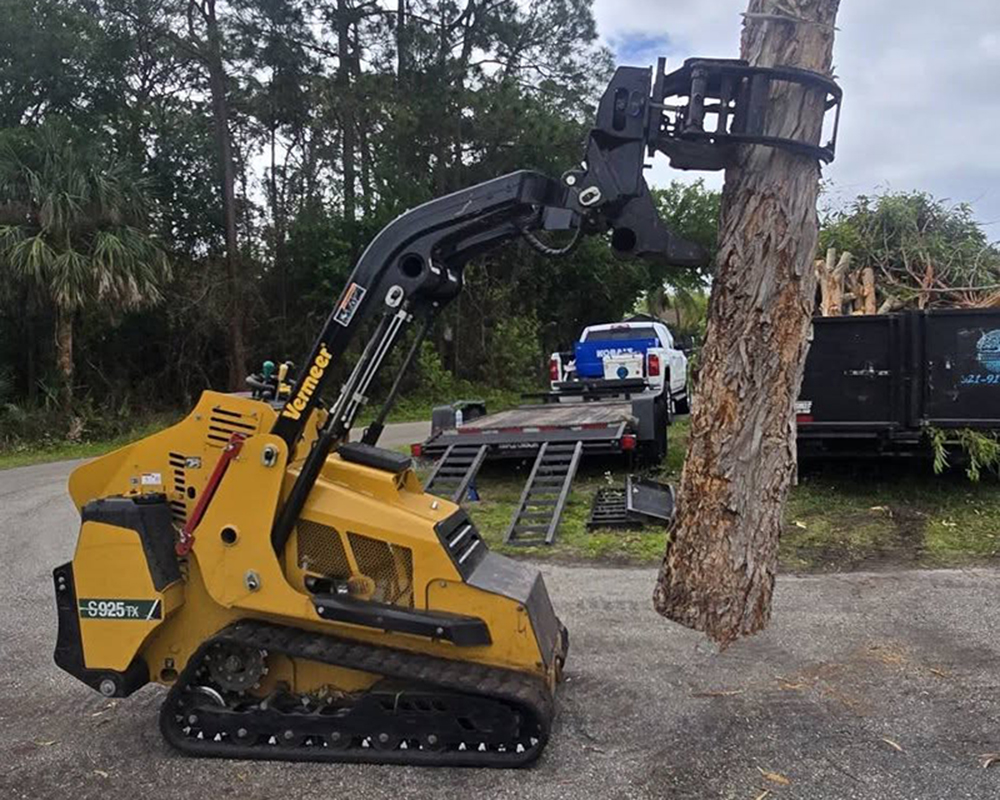 Tree Removal in Titusville
