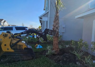 Tree Services Cocoa Beach FL