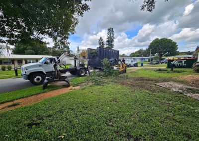 Tree Services Cocoa FL