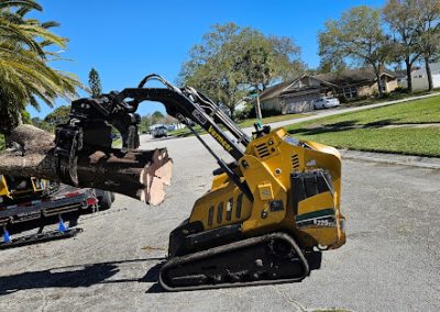 Tree Services Merritt Island FL
