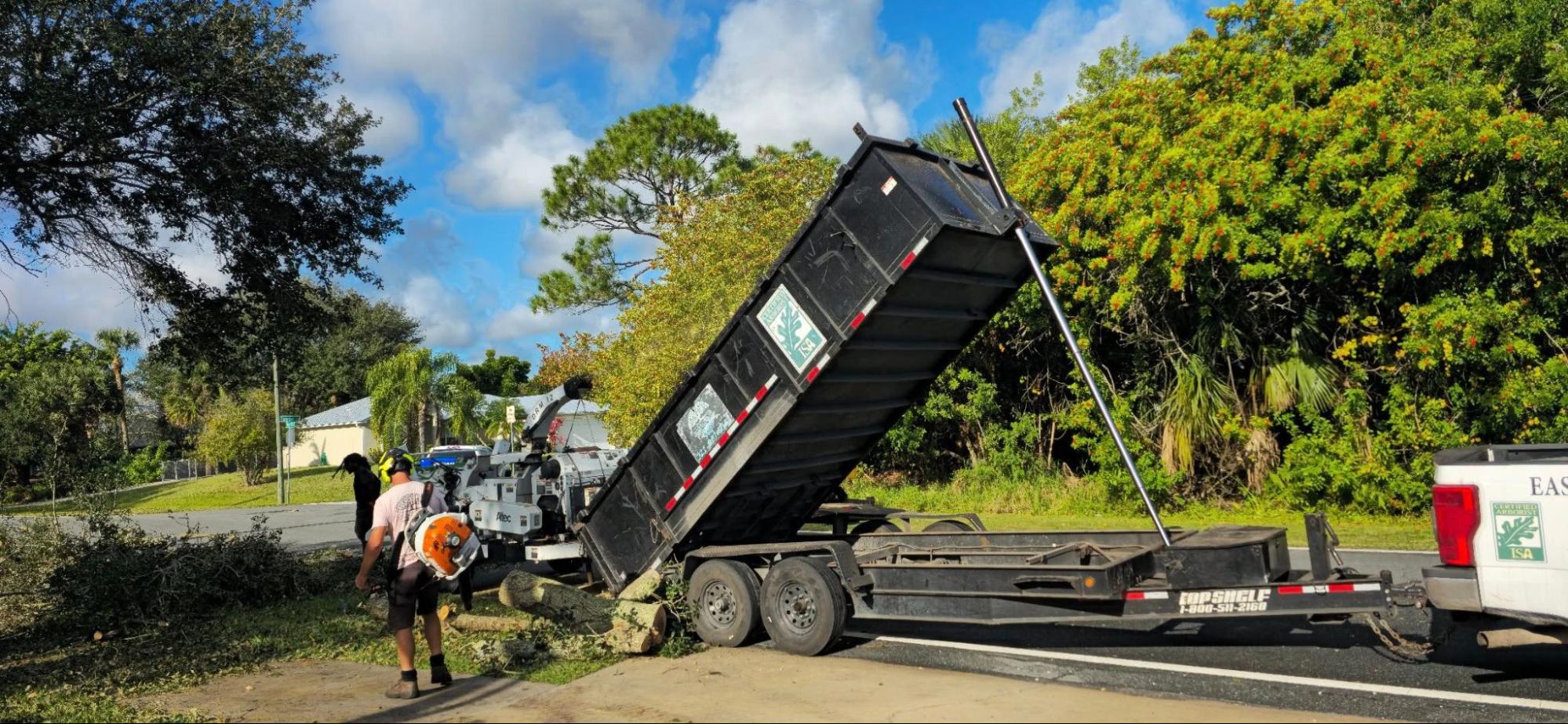 Tree Trimming and Pruning in Palm Bay