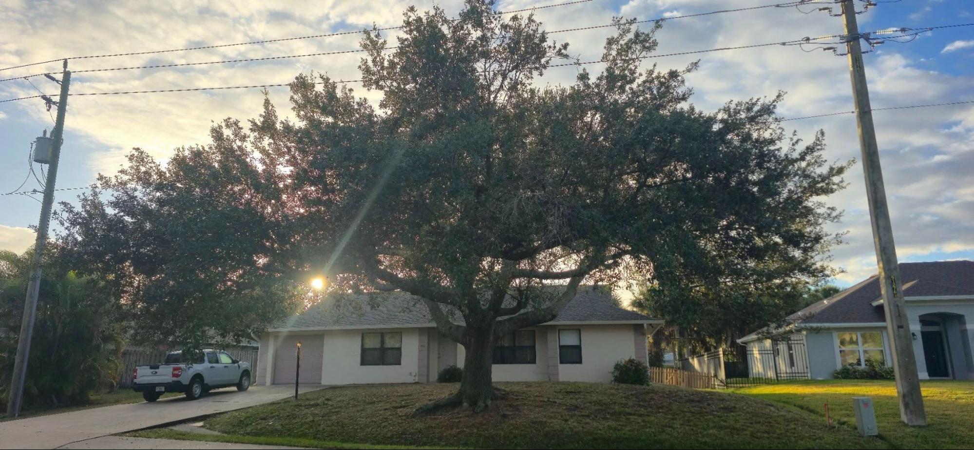 Tree Trimming and Pruning in Palm Bay
