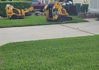 Tree Service West Melbourne