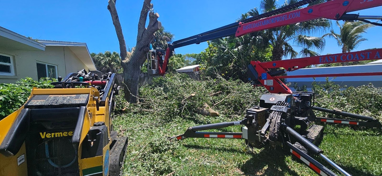 a swift multiple oak tree removal in melbourne, fl