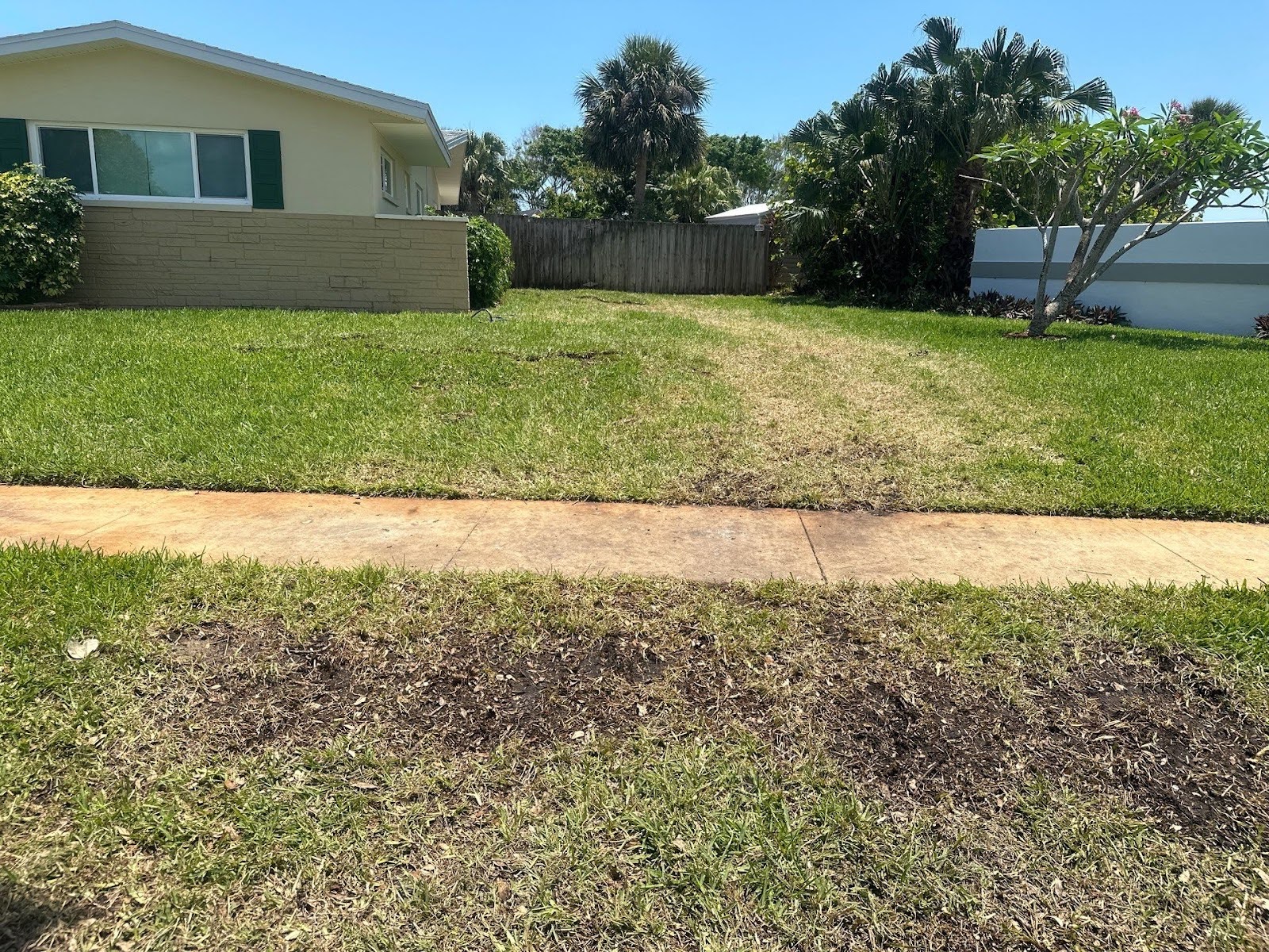 a swift multiple oak tree removal in melbourne, fl