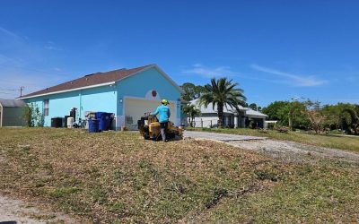 Safe, Efficient, and Successful Live Oak Removal By East Coast Arbor Pro in Vero Beach, FL