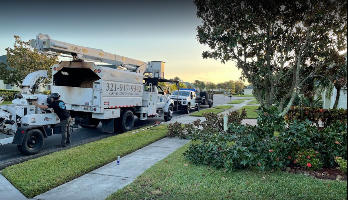 homeowner in cocoa beach, fl, takes safety into their own hands with tree pruning services from our certified arborist services