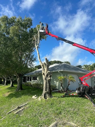 how east coast arbor pro approaches tree trimming in vero beach, florida