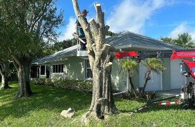 How East Coast Arbor Pro Approaches Tree Trimming in Vero Beach, Florida