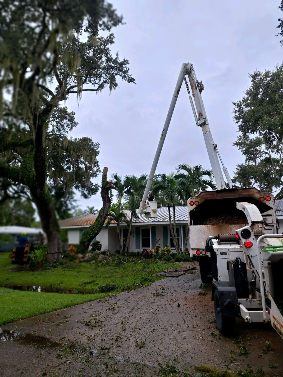 how east coast arbor pro in palm bay fl provided expert tree trimming