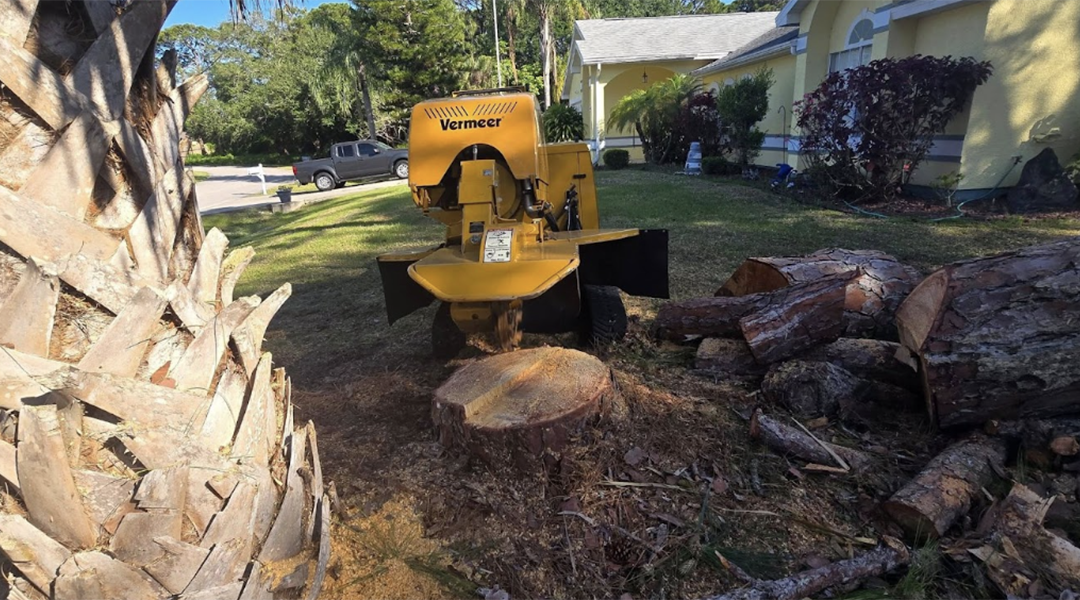 How Long Does It Take To Grind a Stump?
