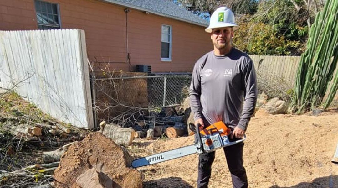 What To Look for When Hiring a Professional Arborist in Palm Bay, Florida