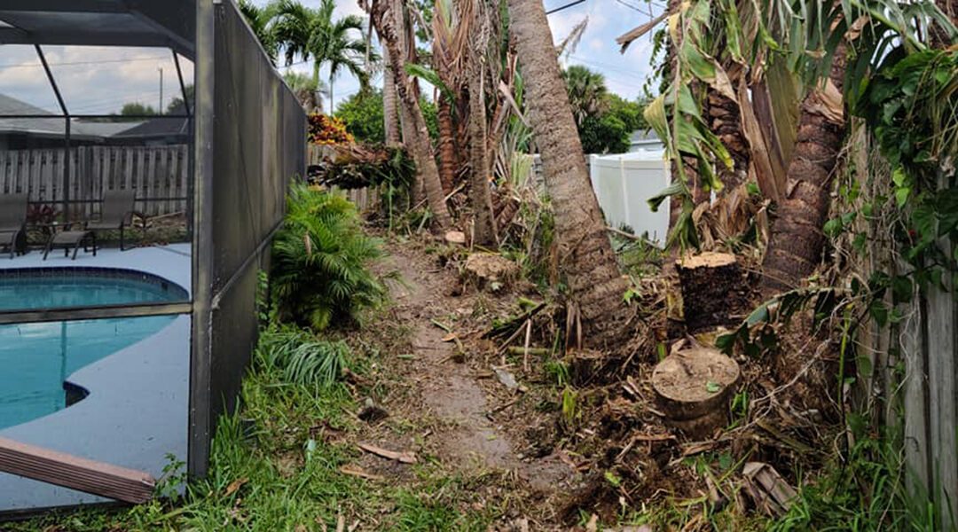 How to Fix Girdling Tree Roots
