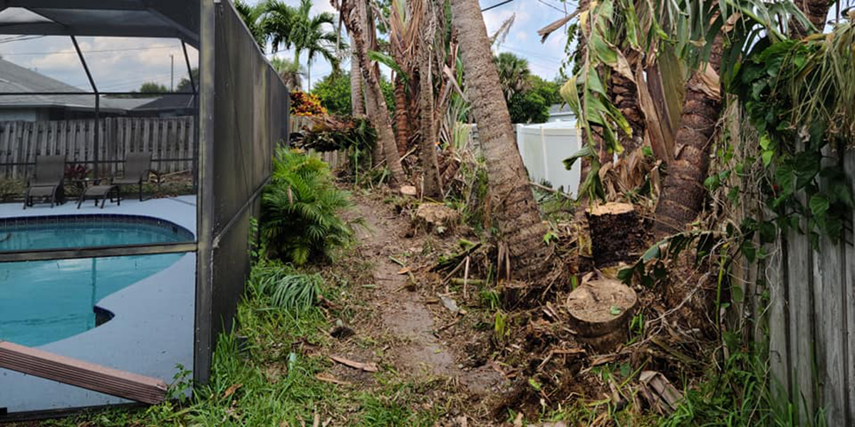 how to fix girdling tree roots