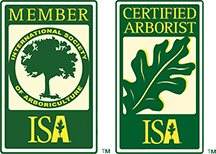 isa icon