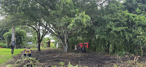 land clearing palm bay
