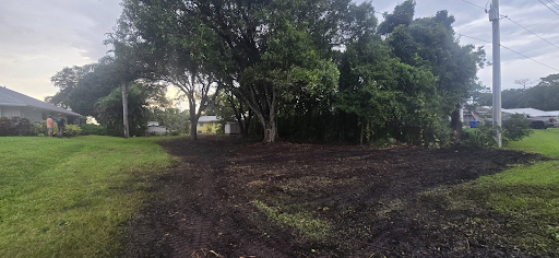 land clearing palm bay