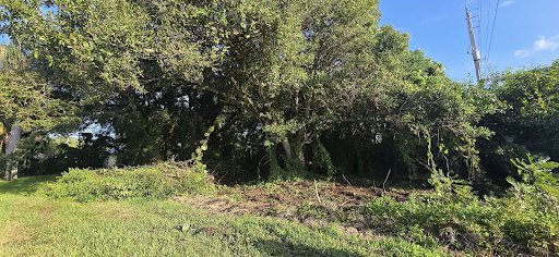 land clearing palm bay