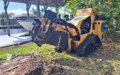 Master Tree Removal and Stump Grinding in Cocoa, FL | East Coast Arbor Pro