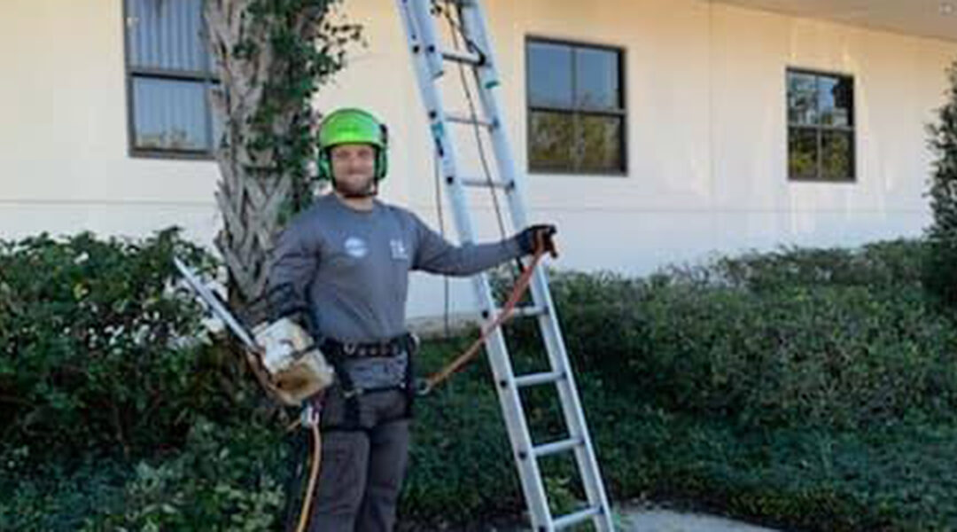 Neighbor’s Tree Damaging My Property: Who’s Responsible for Trimming?