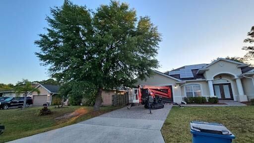 oak tree removal 2 - East Coast Arbor Pro