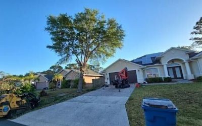 East Coast Arbor Pro in Palm Bay, FL, Delivers Immediate Oak Tree Removal Services for an Encroaching Tree