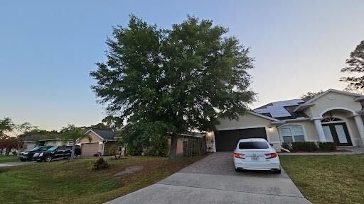 oak tree removal - East Coast Arbor Pro