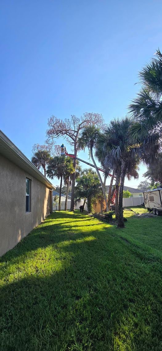 parque de malaga tree pruning service palm bay florida