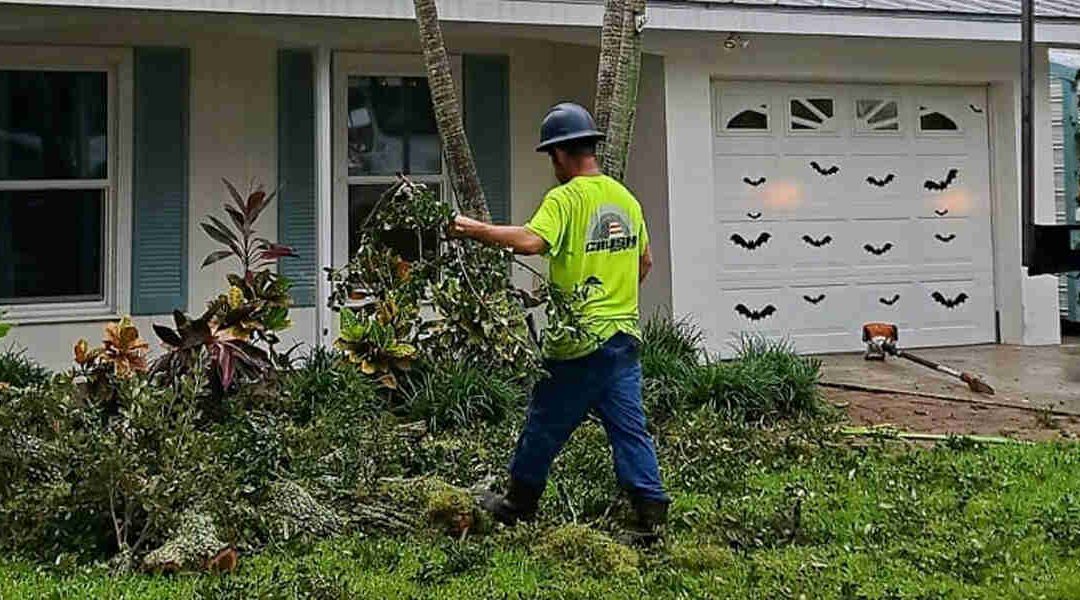 How Arborists Can Preserve Trees During Construction Projects in Merritt Island, FL