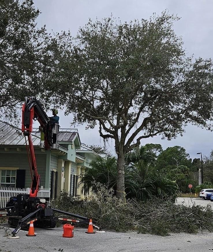 pruning equipment