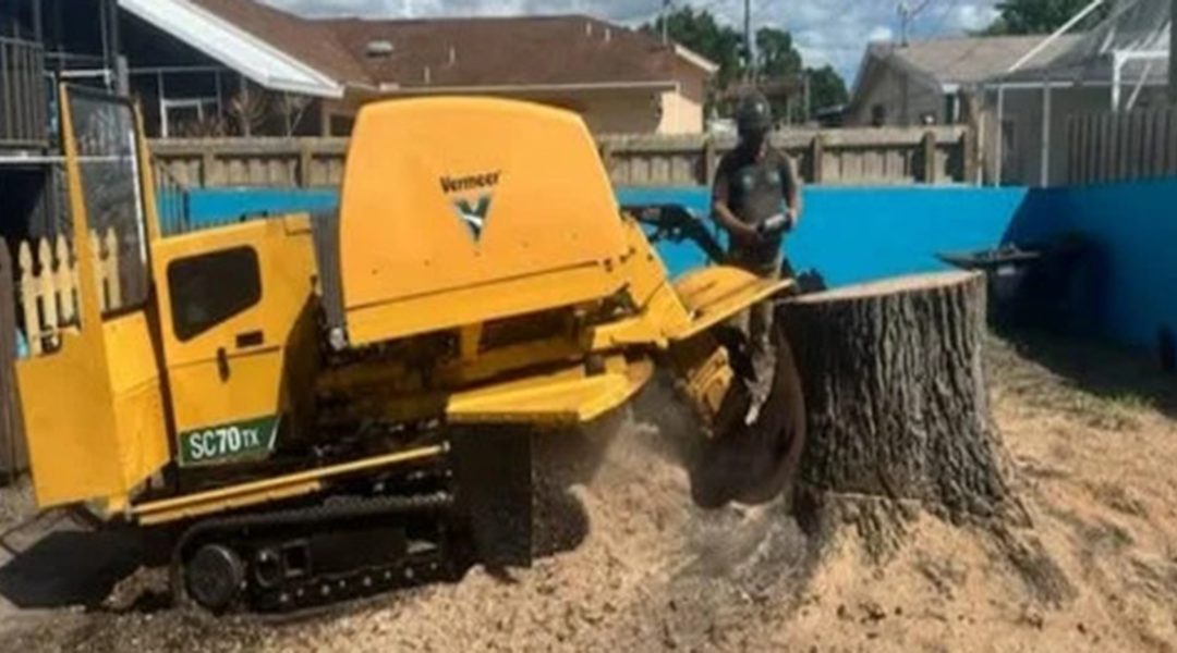 The Differences Between Stump Grinding and Removal Methods