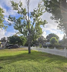 Professional Tree Removal Services in Cocoa, FL, by East Coast Arbor Pro