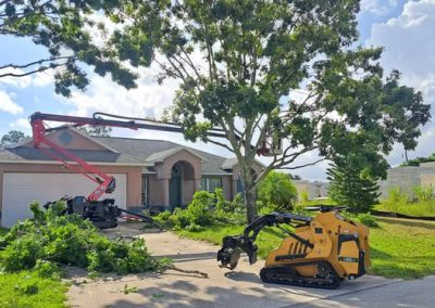 A house during tree service in Vero Beach, FL