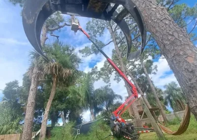 A crane truck removing limbs during a tree trimming in Titusville, FL