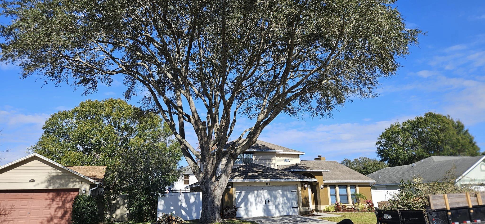 Tree Pruning Rockledge, FL