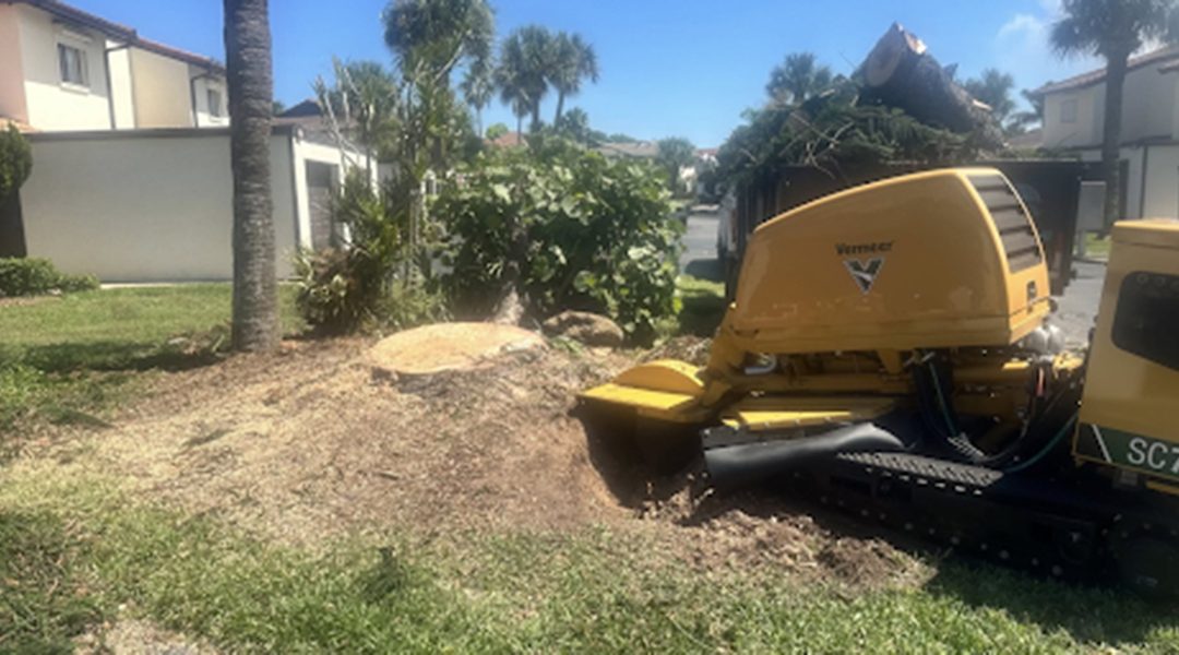 Everything You Need To Know About Stump Grinding