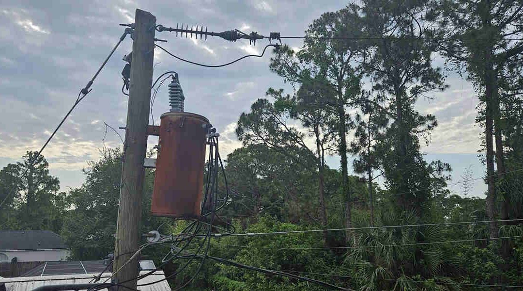 Who Is Responsible for Trimming Trees Near Power Lines?